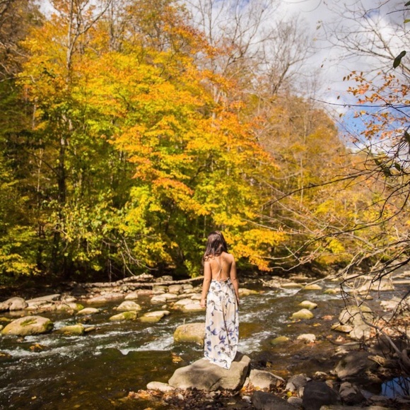 At Long Last Beige Floral Print Maxi Dress - Picture 8 of 8